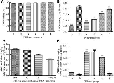 Preparation of MSZ Hydrogel and Its Treatment of Colitis